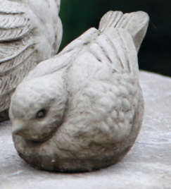 Cast Stone Sparrow, Concrete Statue, Animal, Bird