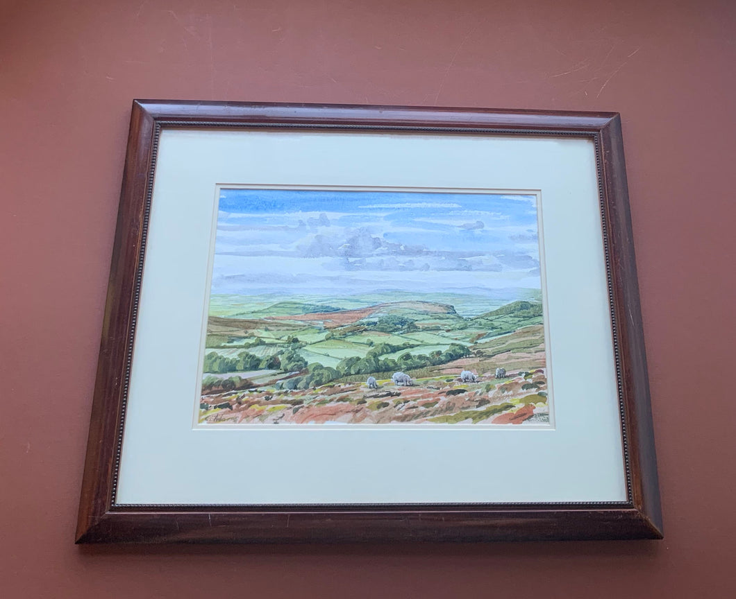 C. Adams Framed Watercolor Painting of Field with Sheep