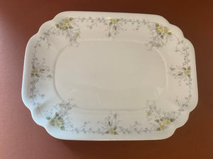 Waterloo Potteries Serving Dish with Plate and Spoon - Pattern Schonbrunn